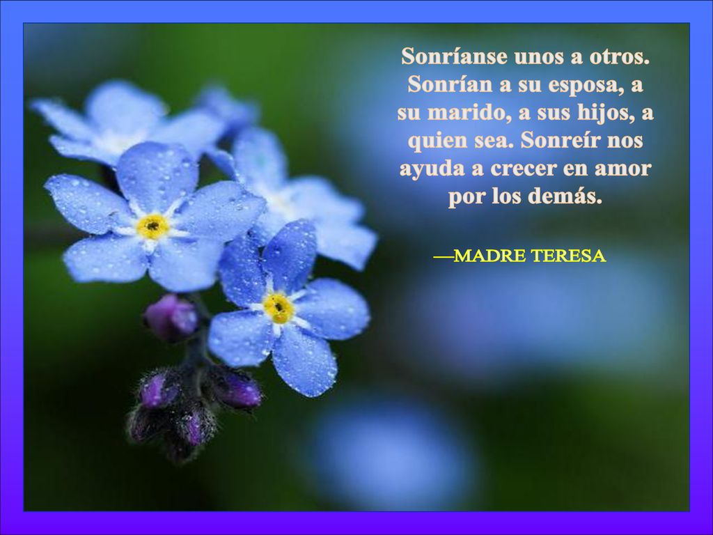 Sonríanse unos a otros. Sonrían a su esposa, a. su marido, a sus hijos, a. quien sea. Sonreír nos.