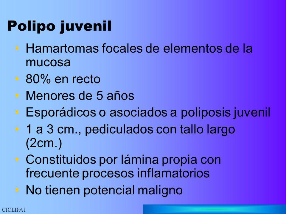 Polipo juvenil Hamartomas focales de elementos de la mucosa