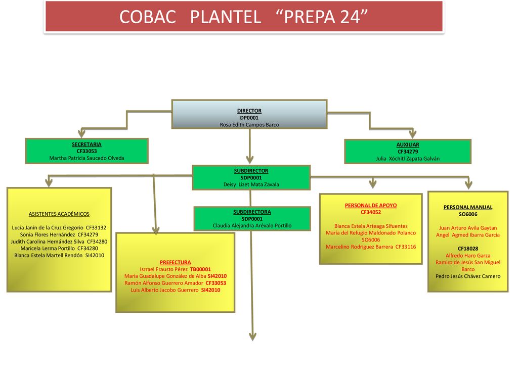 COBAC PLANTEL PREPA 24 DIRECTOR DP0001 Rosa Edith Campos Barco