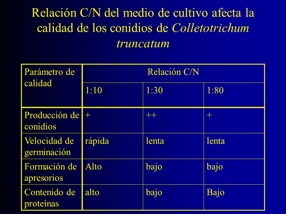 Relación C/N del medio de cultivo afecta la calidad de los conidios de Colletotrichum truncatum
