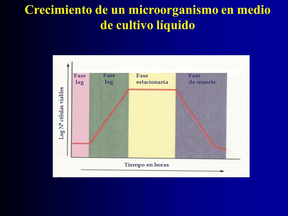 Crecimiento de un microorganismo en medio de cultivo líquido