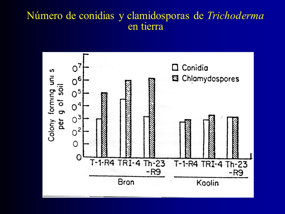 Número de conidias y clamidosporas de Trichoderma en tierra