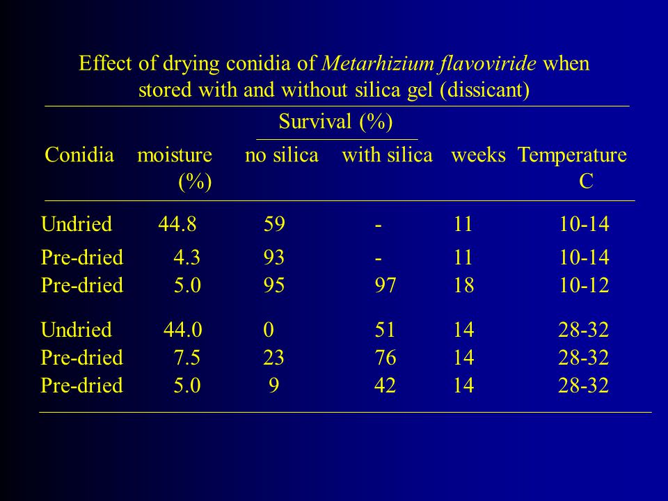 Effect of drying conidia of Metarhizium flavoviride when stored with and without silica gel (dissicant)