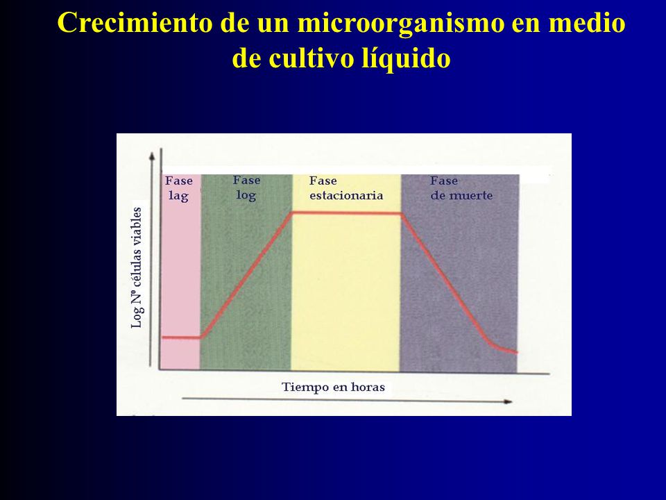 Crecimiento de un microorganismo en medio de cultivo líquido