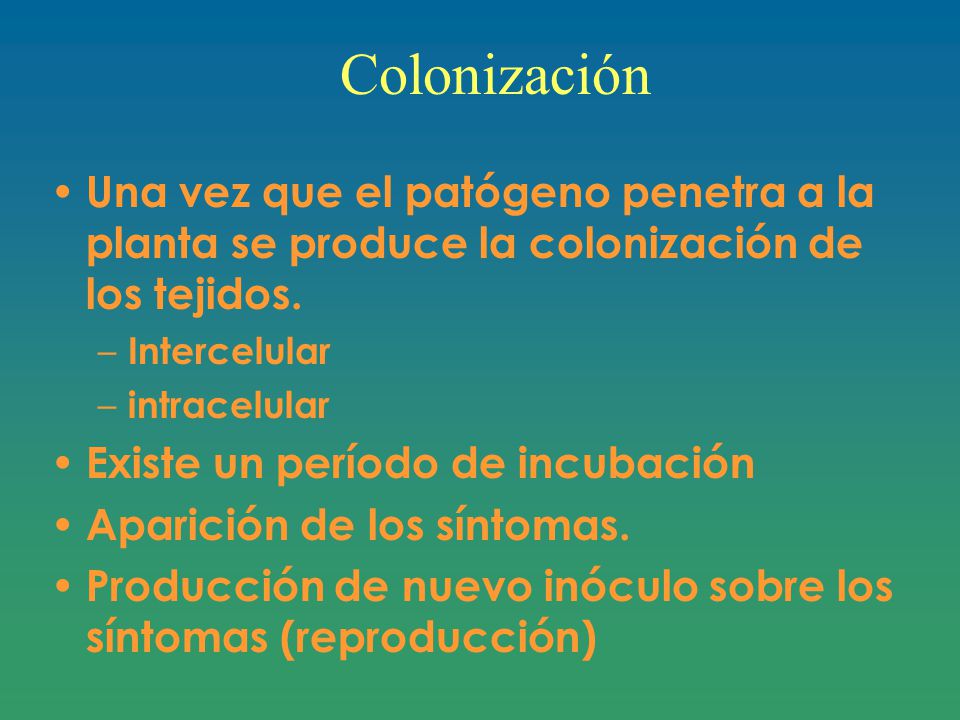 Colonización Una vez que el patógeno penetra a la planta se produce la colonización de los tejidos.