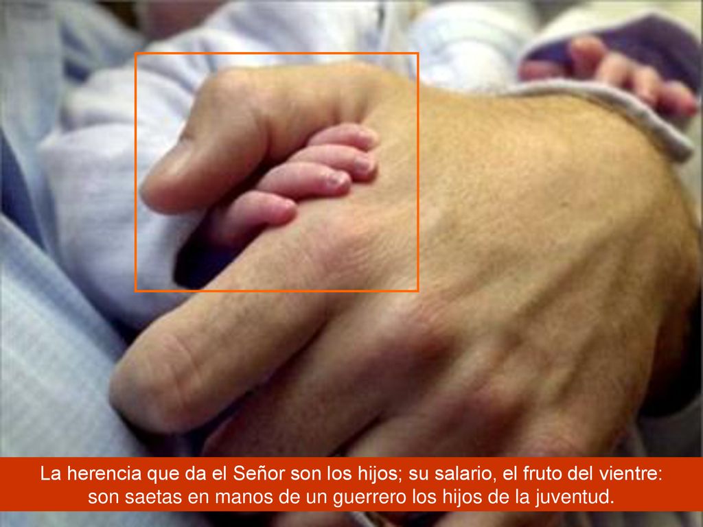 La herencia que da el Señor son los hijos; su salario, el fruto del vientre: son saetas en manos de un guerrero los hijos de la juventud.