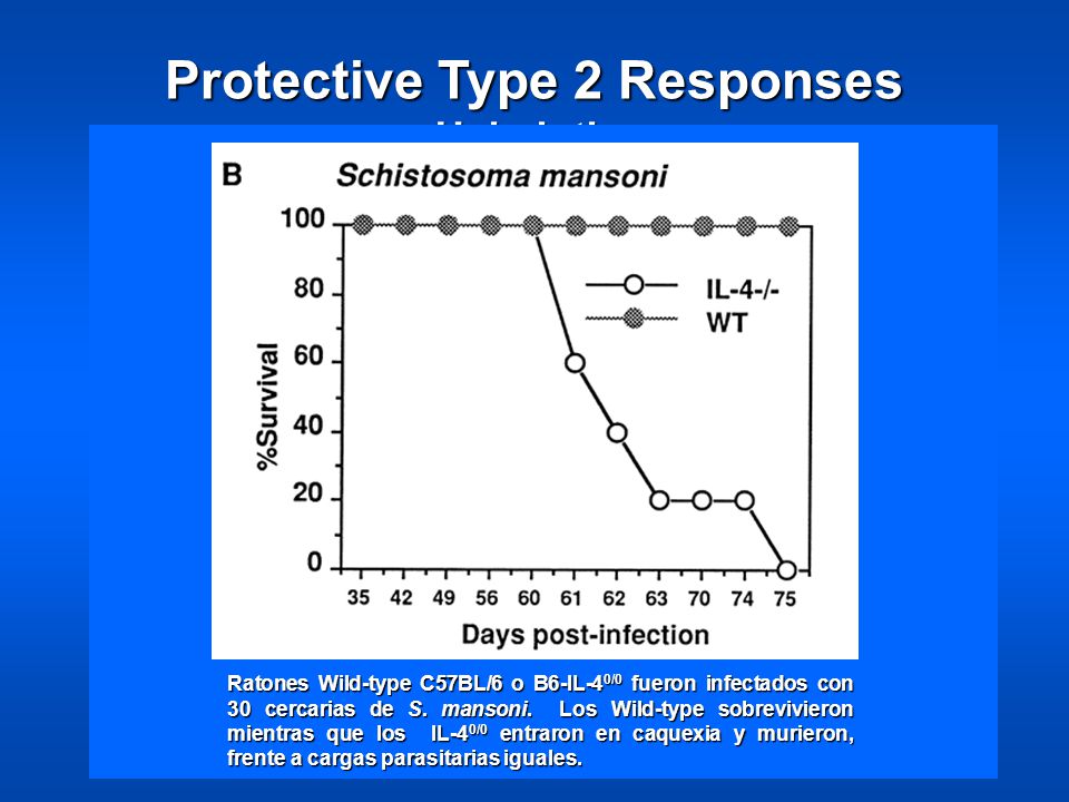Protective Type 2 Responses