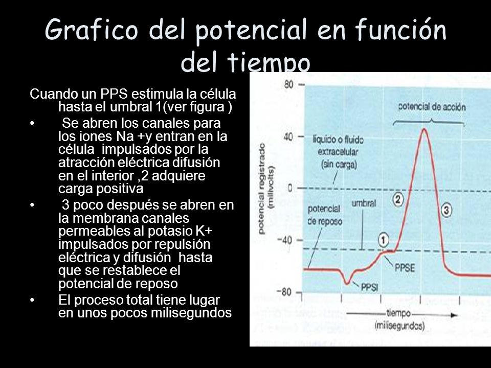 Grafico del potencial en función del tiempo
