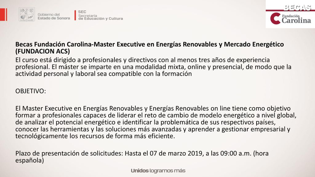Becas Fundación Carolina-Master Executive en Energías Renovables y Mercado Energético (FUNDACION ACS) El curso está dirigido a profesionales y directivos con al menos tres años de experiencia profesional.