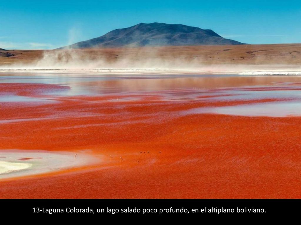 13-Laguna Colorada, un lago salado poco profundo, en el altiplano boliviano.