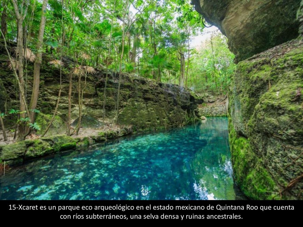 15-Xcaret es un parque eco arqueológico en el estado mexicano de Quintana Roo que cuenta con ríos subterráneos, una selva densa y ruinas ancestrales.