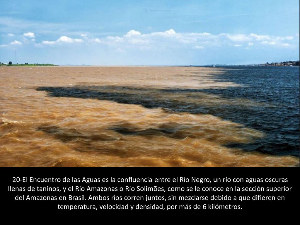 20-El Encuentro de las Aguas es la confluencia entre el Río Negro, un río con aguas oscuras llenas de taninos, y el Río Amazonas o Río Solimões, como se le conoce en la sección superior del Amazonas en Brasil.