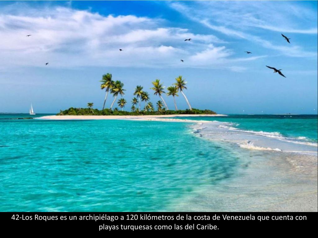 42-Los Roques es un archipiélago a 120 kilómetros de la costa de Venezuela que cuenta con playas turquesas como las del Caribe.