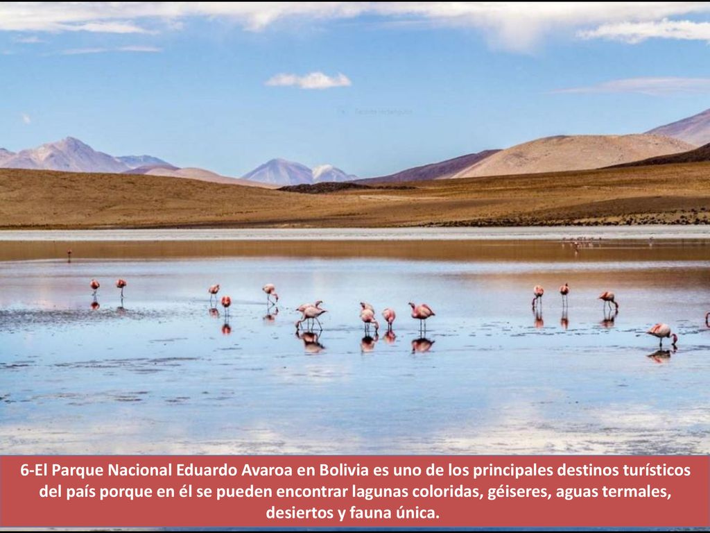 6-El Parque Nacional Eduardo Avaroa en Bolivia es uno de los principales destinos turísticos del país porque en él se pueden encontrar lagunas coloridas, géiseres, aguas termales, desiertos y fauna única.