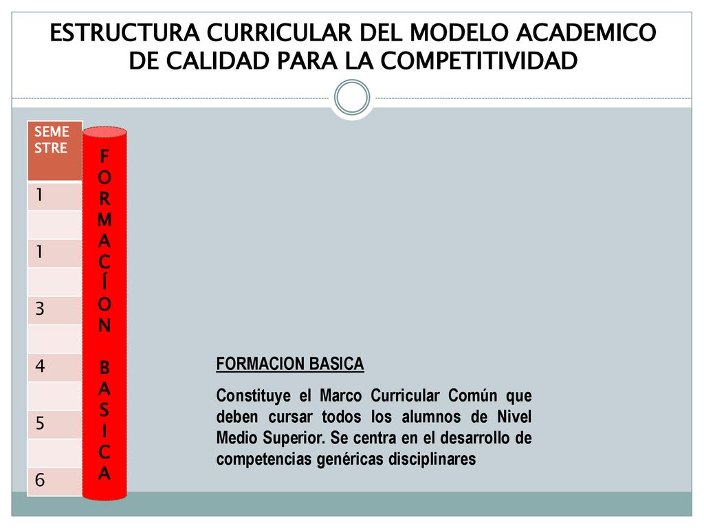 ESTRUCTURA CURRICULAR DEL MODELO ACADEMICO DE CALIDAD PARA LA COMPETITIVIDAD
