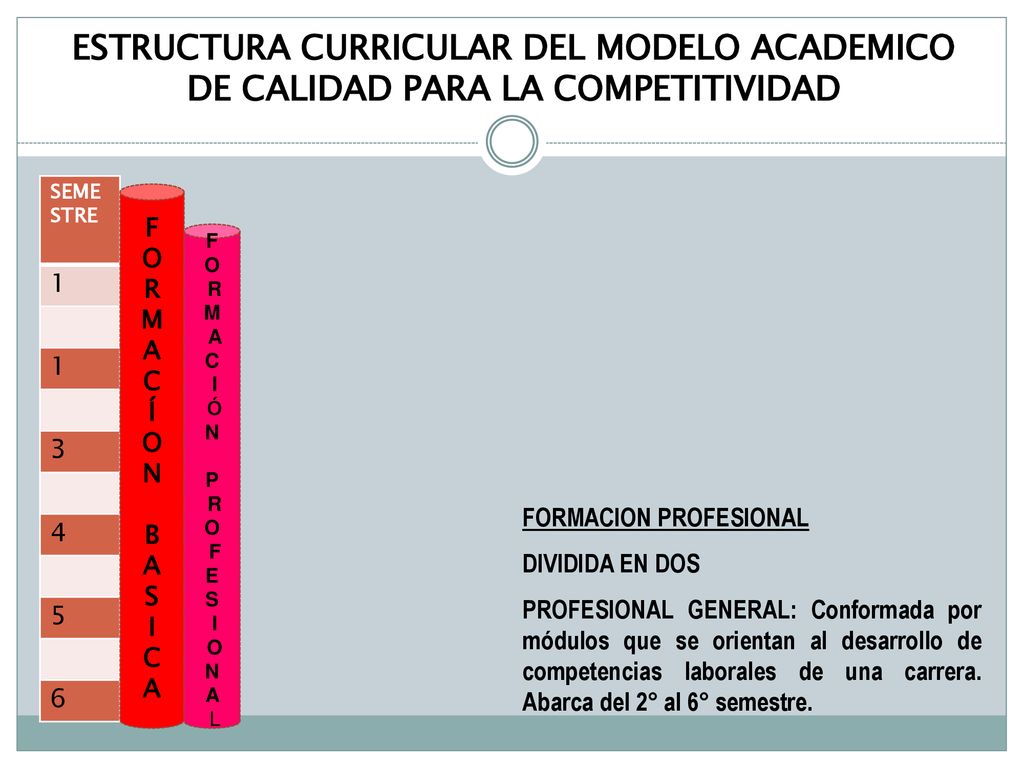 ESTRUCTURA CURRICULAR DEL MODELO ACADEMICO DE CALIDAD PARA LA COMPETITIVIDAD