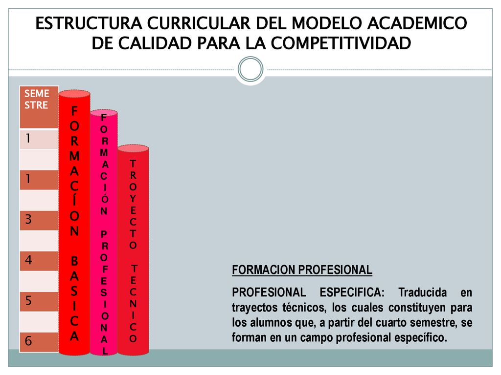 ESTRUCTURA CURRICULAR DEL MODELO ACADEMICO DE CALIDAD PARA LA COMPETITIVIDAD