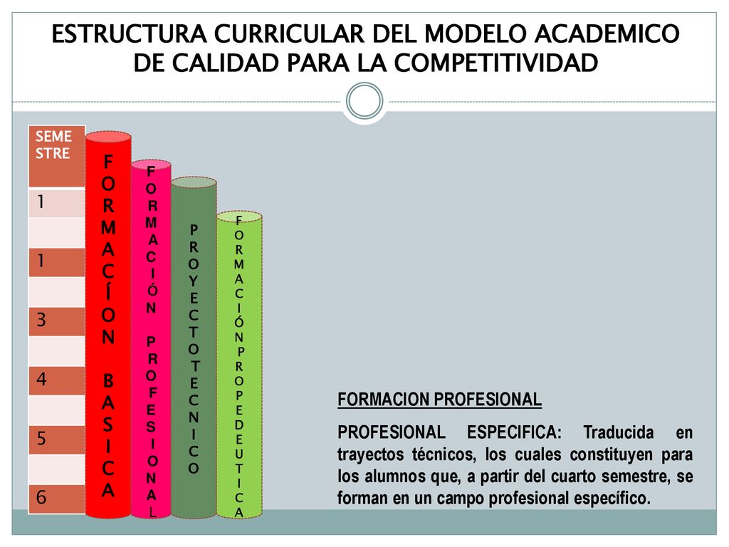 ESTRUCTURA CURRICULAR DEL MODELO ACADEMICO DE CALIDAD PARA LA COMPETITIVIDAD