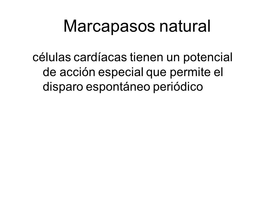 Marcapasos natural células cardíacas tienen un potencial de acción especial que permite el disparo espontáneo periódico.