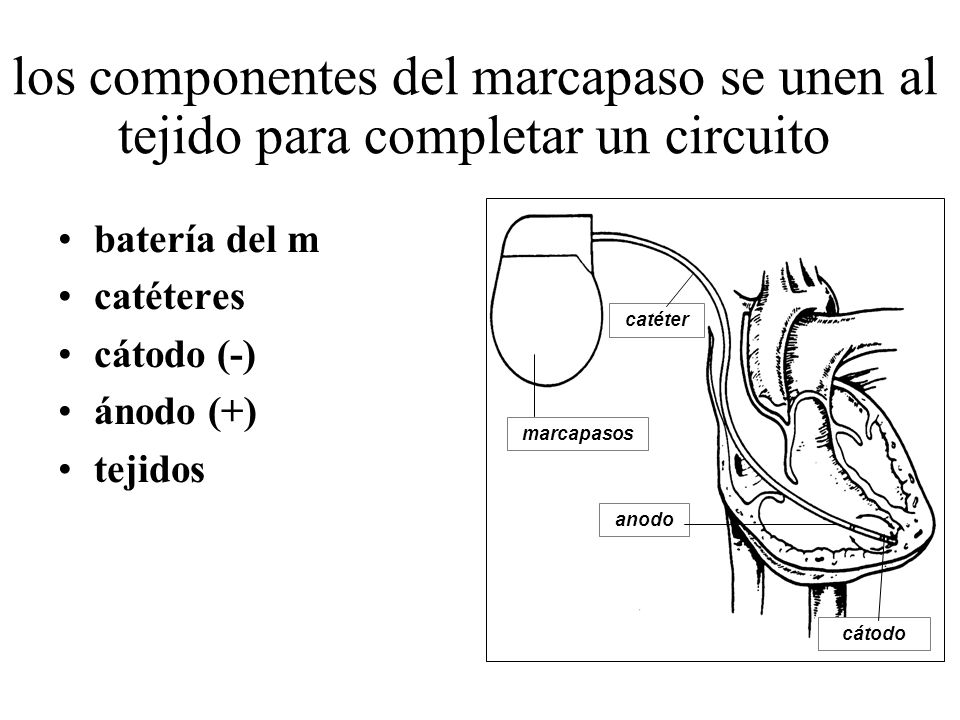 los componentes del marcapaso se unen al tejido para completar un circuito