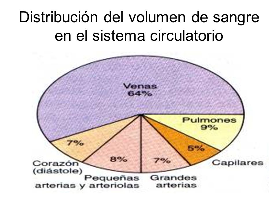 Distribución del volumen de sangre en el sistema circulatorio