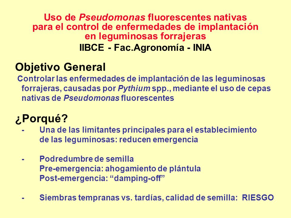 Objetivo General ¿Porqué Uso de Pseudomonas fluorescentes nativas