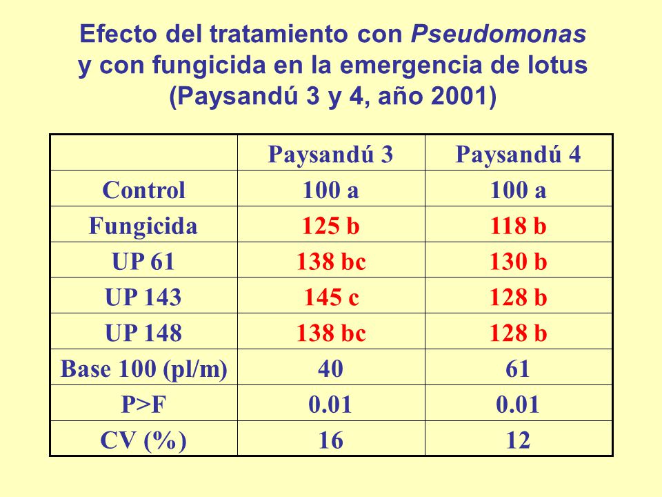 Efecto del tratamiento con Pseudomonas y con fungicida en la emergencia de lotus (Paysandú 3 y 4, año 2001)