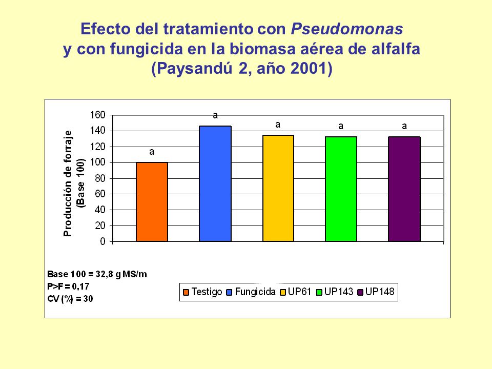 Efecto del tratamiento con Pseudomonas y con fungicida en la biomasa aérea de alfalfa (Paysandú 2, año 2001)