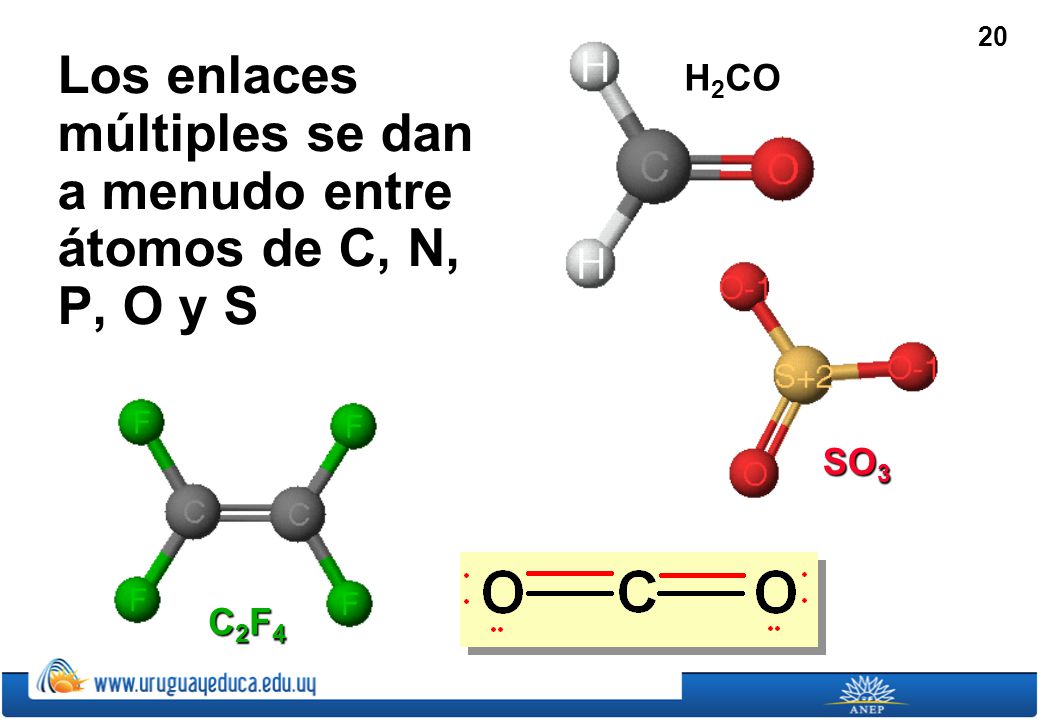 Los enlaces múltiples se dan a menudo entre átomos de C, N, P, O y S