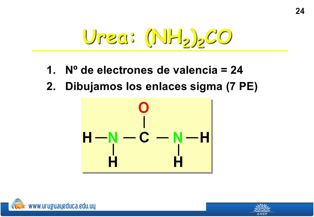 Urea: (NH2)2CO 1. Nº de electrones de valencia = 24