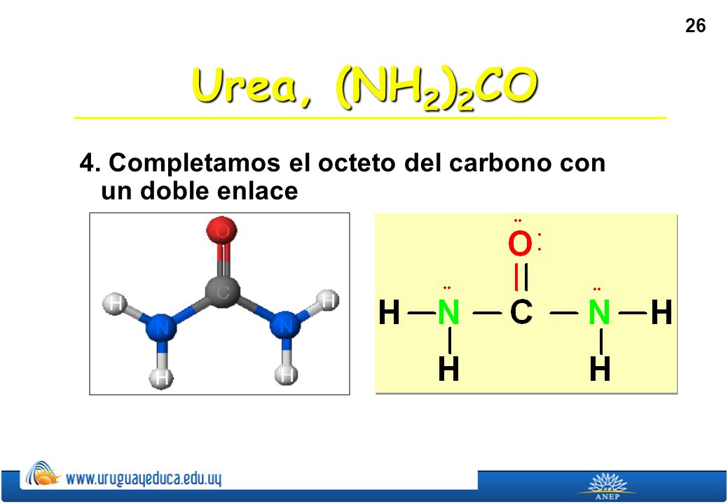 Urea, (NH2)2CO 4. Completamos el octeto del carbono con un doble enlace