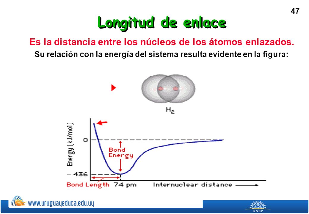 Longitud de enlace Es la distancia entre los núcleos de los átomos enlazados.