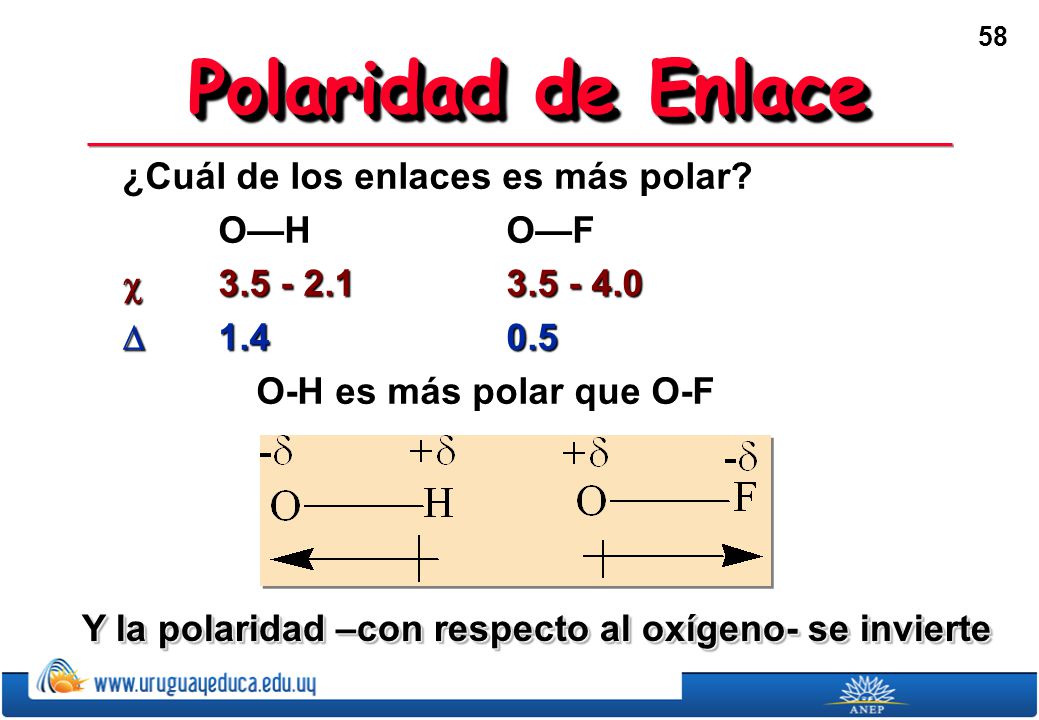 Polaridad de Enlace ¿Cuál de los enlaces es más polar O—H O—F