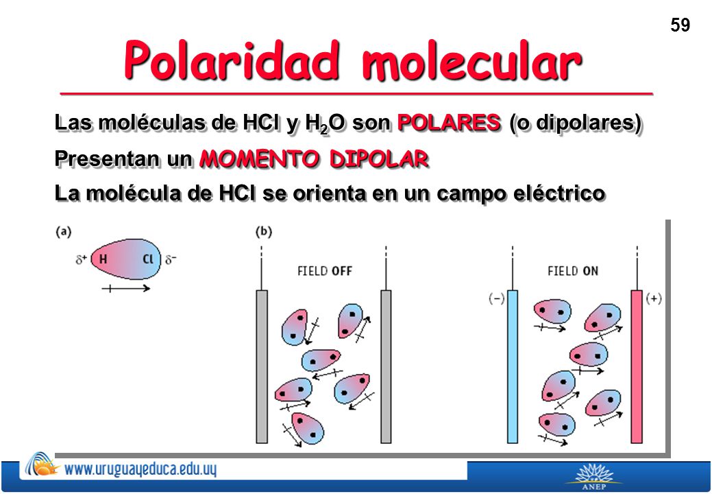 Polaridad molecular Las moléculas de HCl y H2O son POLARES (o dipolares) Presentan un MOMENTO DIPOLAR.
