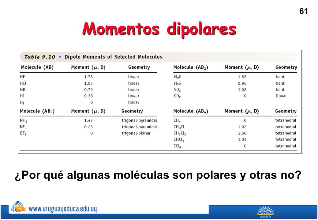 ¿Por qué algunas moléculas son polares y otras no
