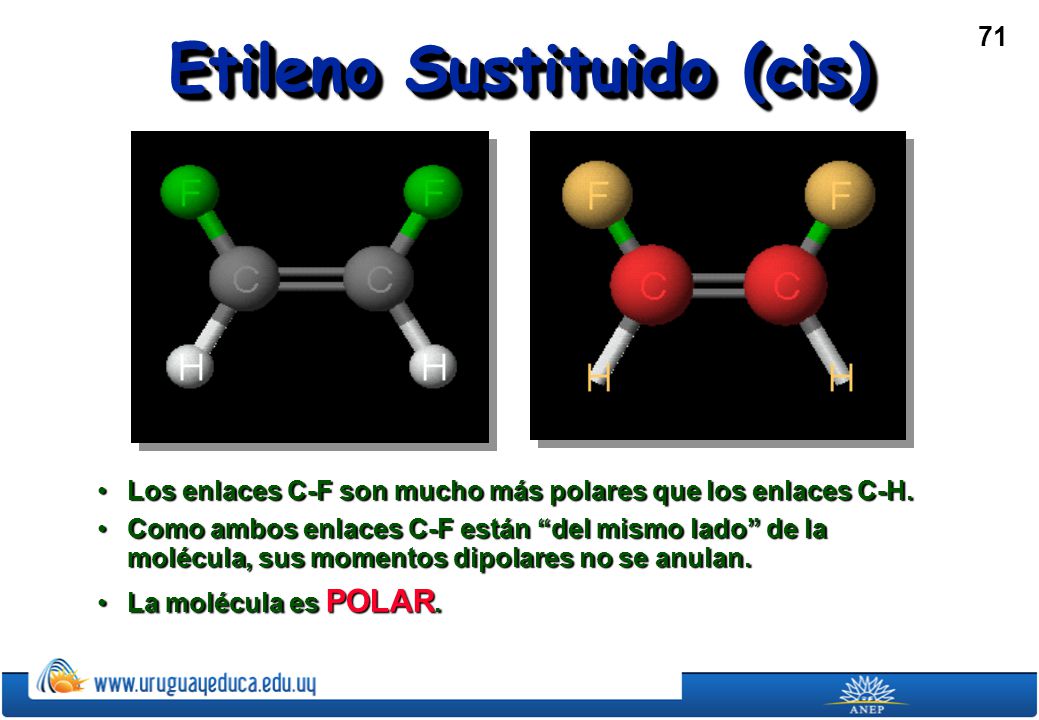 Presenta:. - ppt video online descargar