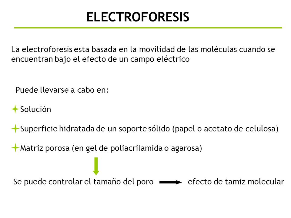 ELECTROFORESIS La electroforesis esta basada en la movilidad de las moléculas cuando se encuentran bajo el efecto de un campo eléctrico.