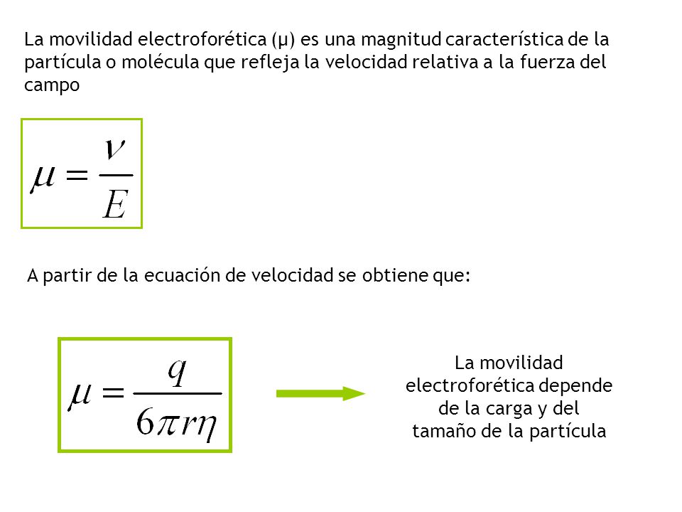 La movilidad electroforética (μ) es una magnitud característica de la partícula o molécula que refleja la velocidad relativa a la fuerza del campo