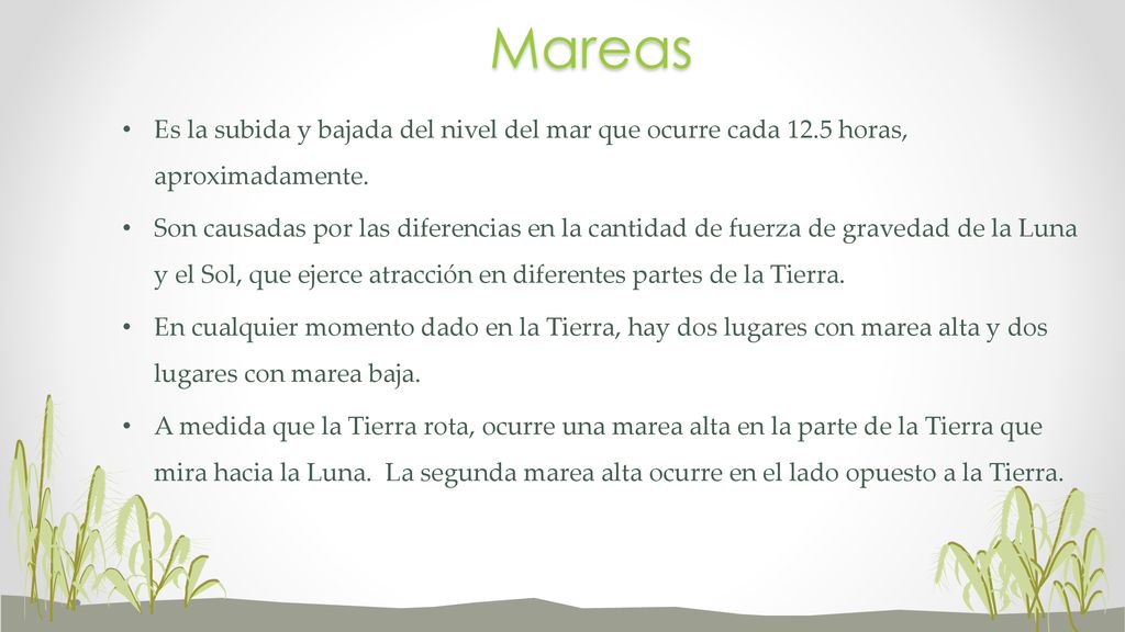 Mareas Es la subida y bajada del nivel del mar que ocurre cada 12.5 horas, aproximadamente.