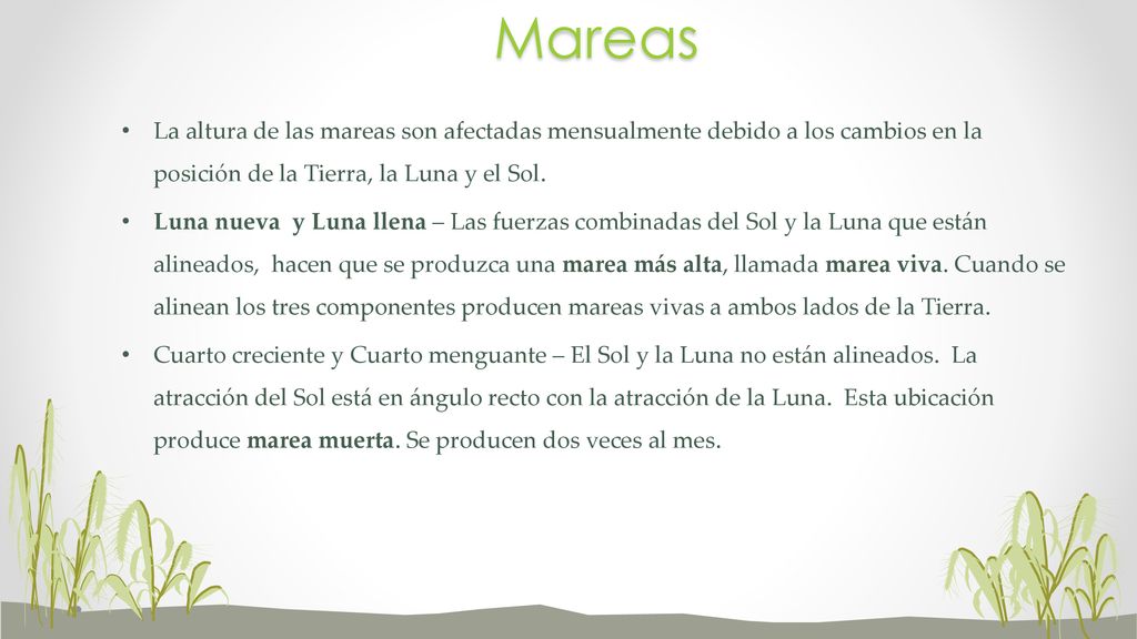 Mareas La altura de las mareas son afectadas mensualmente debido a los cambios en la posición de la Tierra, la Luna y el Sol.