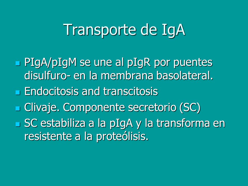 Transporte de IgA PIgA/pIgM se une al pIgR por puentes disulfuro- en la membrana basolateral. Endocitosis and transcitosis.