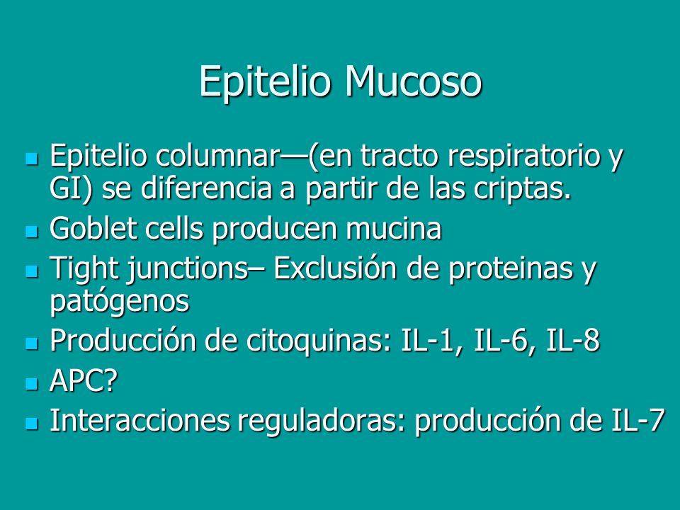 Epitelio Mucoso Epitelio columnar—(en tracto respiratorio y GI) se diferencia a partir de las criptas.