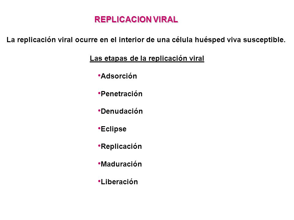 Las etapas de la replicación viral