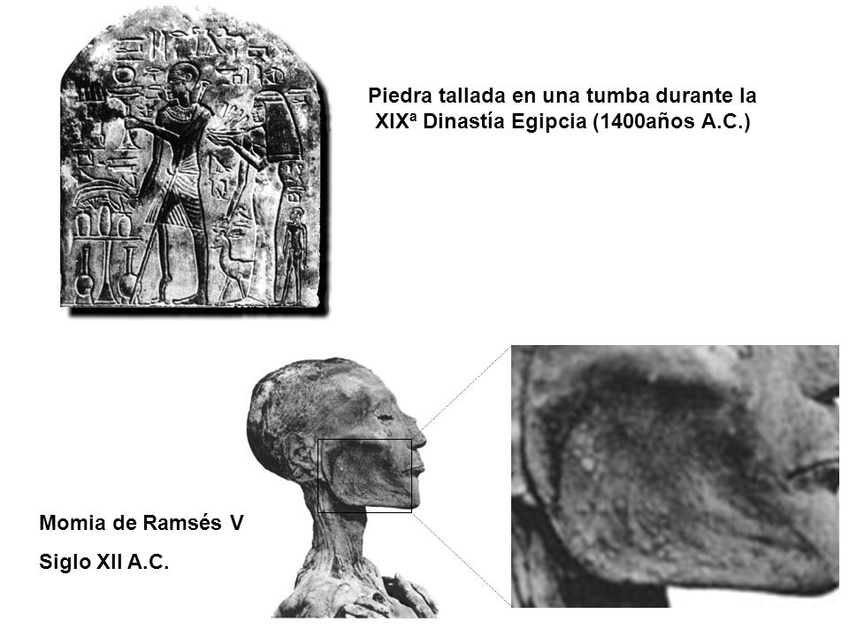 Piedra tallada en una tumba durante la XIXª Dinastía Egipcia (1400años A.C.)