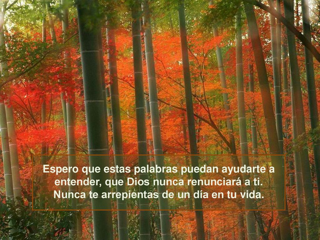 Espero que estas palabras puedan ayudarte a entender, que Dios nunca renunciará a ti.