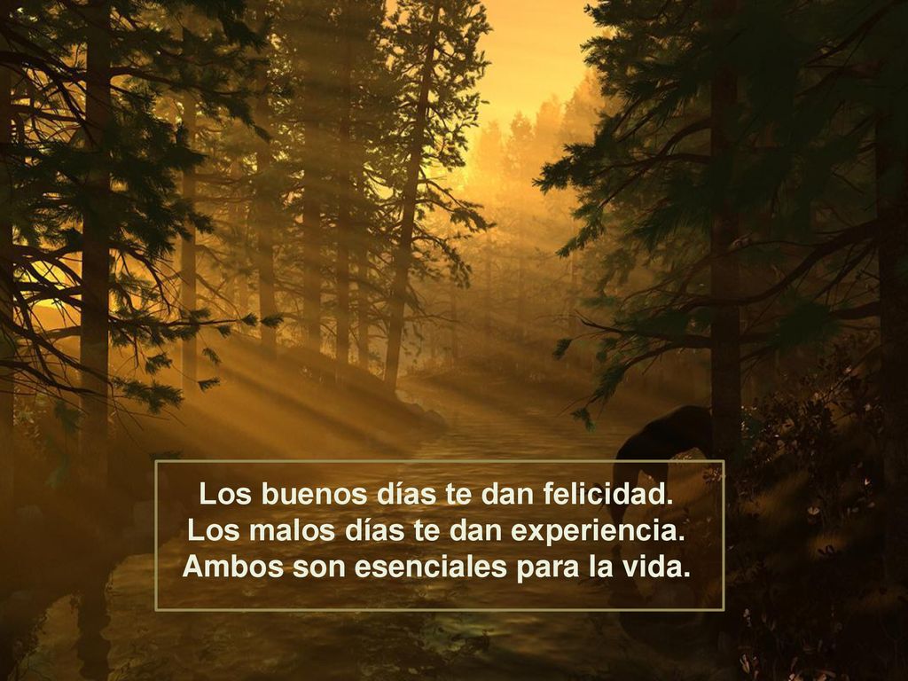 Los buenos días te dan felicidad. Los malos días te dan experiencia