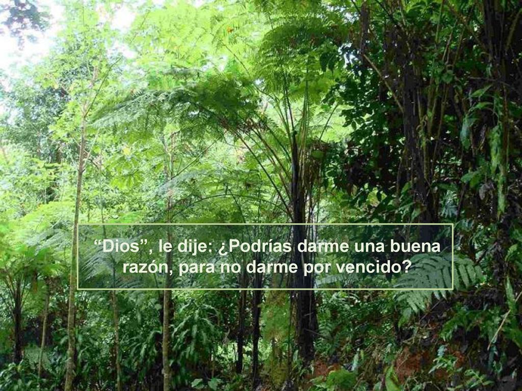 Dios , le dije: ¿Podrías darme una buena razón, para no darme por vencido