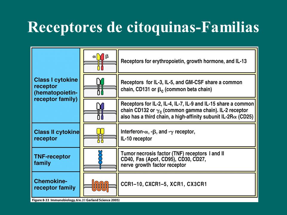 Receptores de citoquinas-Familias