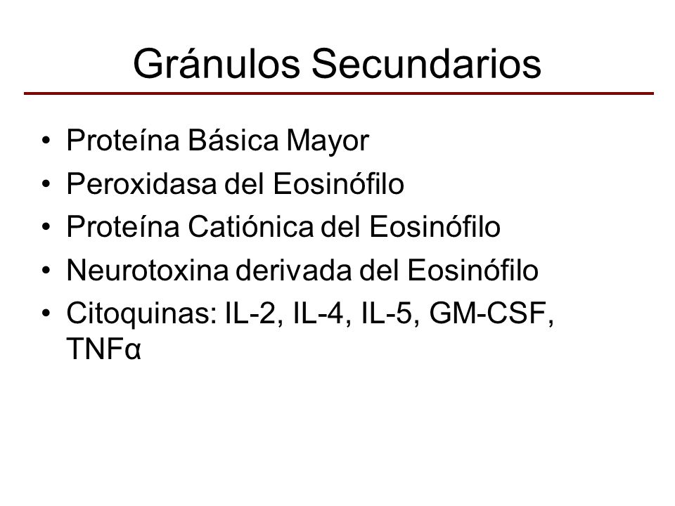 Gránulos Secundarios Proteína Básica Mayor Peroxidasa del Eosinófilo