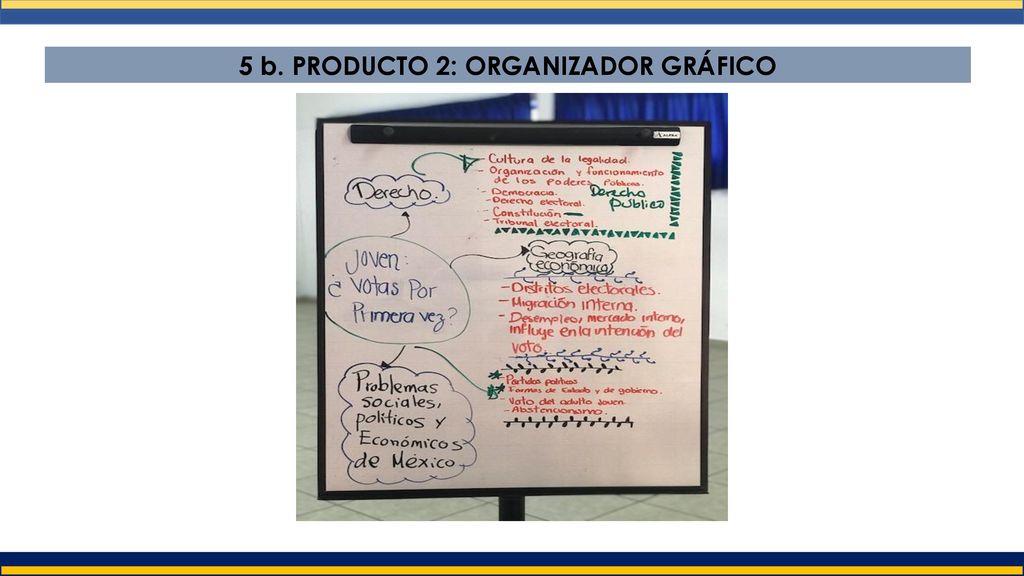 5 b. PRODUCTO 2: ORGANIZADOR GRÁFICO